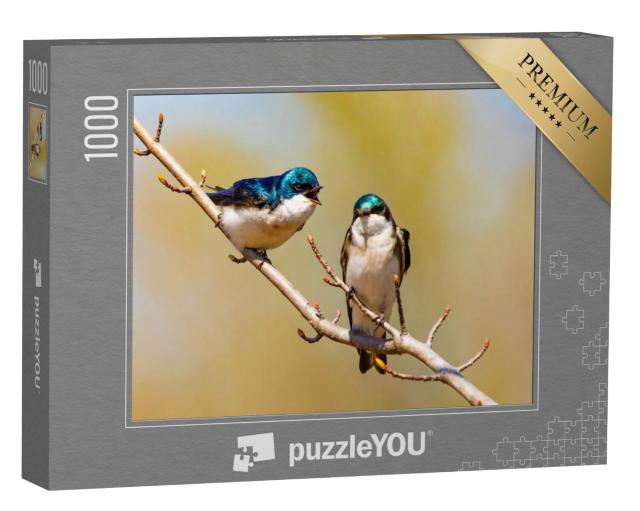 Puzzel 1000 stukjes „Glinsterende blauwe boomzwaluwen op een tak“