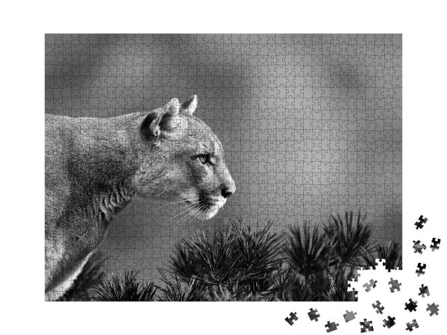 Puzzle 1000 Teile „Seitenportrait eines Pumas, schwarz-weiß“
