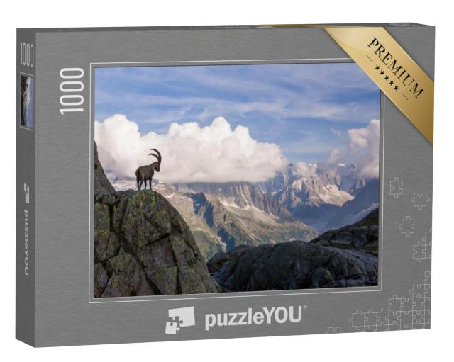 Puzzel 1000 stukjes „Steenbokken voor de Mont Blanc-bergketen“