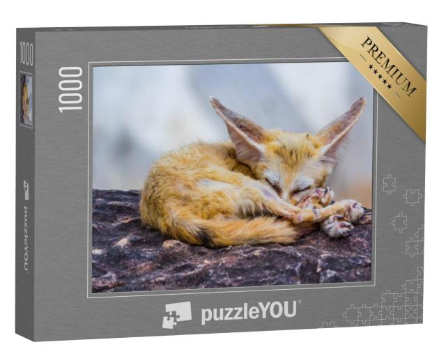 Puzzel 1000 stukjes „Kleine Fennec vos in slaap“