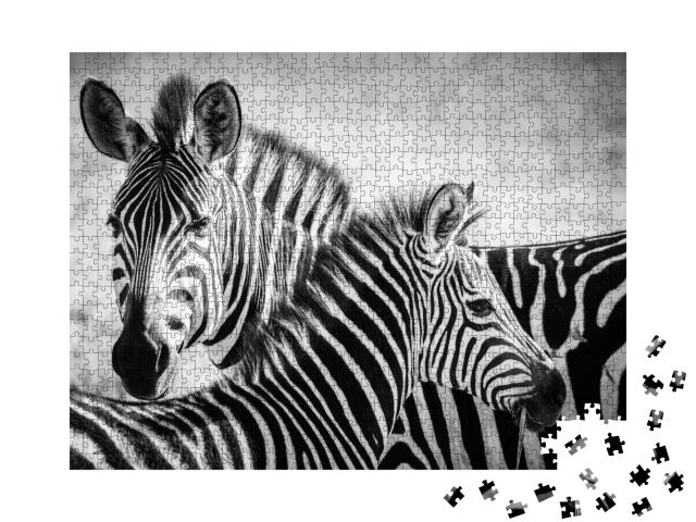 Puzzle 1000 Teile „Zebramutter und ihr Junges im Serengeti-Nationalpark“