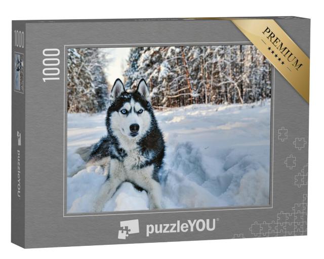 Puzzel 1000 stukjes „Husky in de sneeuw“