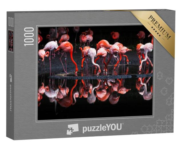 Puzzel 1000 stukjes „Groep heldere flamingo's“