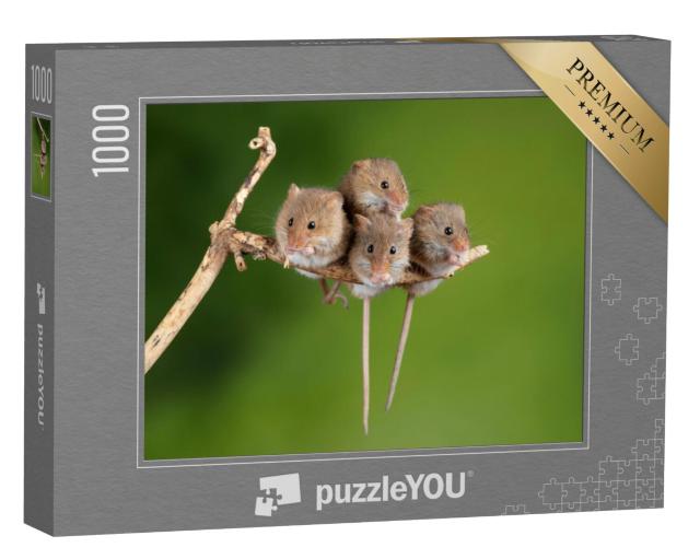 Puzzel 1000 stukjes „Vier schattige muizen op een klein takje“