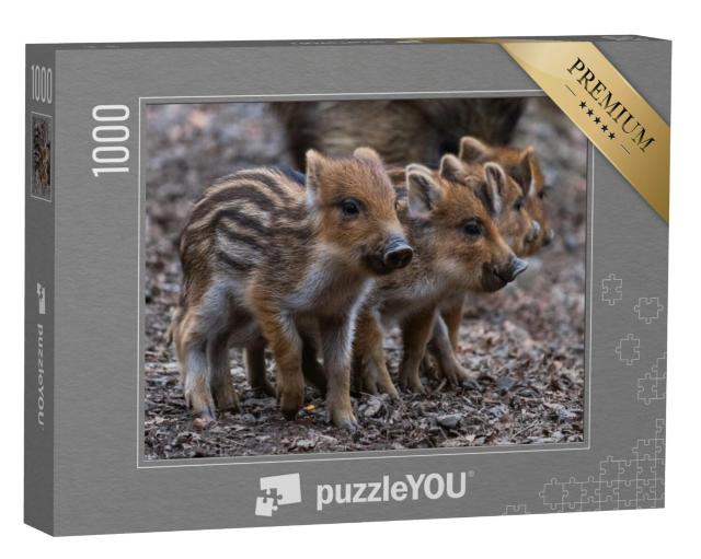 Puzzel 1000 stukjes „Vier pasgeborenen op een rij“