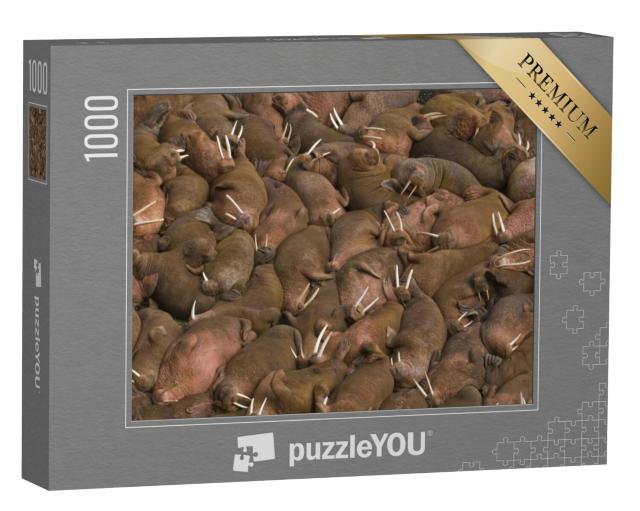 Puzzel 1000 stukjes „Samen zonnende walrussen op Round Island, Alaska, VS“