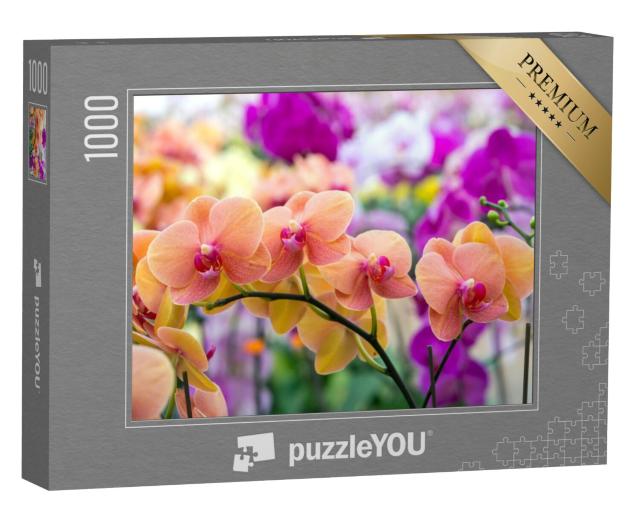 Puzzel 1000 stukjes „Schoonheid van de natuur: orchideeën“