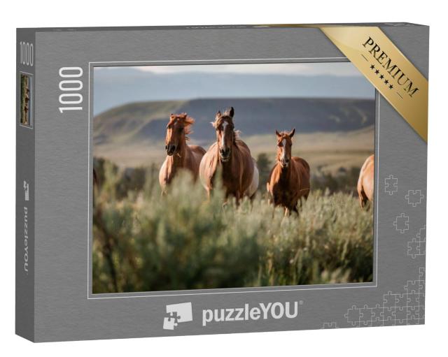 Puzzel 1000 stukjes „Prachtige Amerikaanse Quarter Horse Ranch paarden, Wyoming“