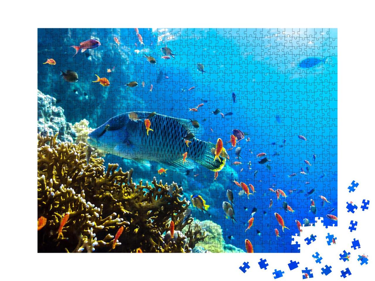 Puzzle 1000 Teile „Verschiedene Unterwasserfische, Blick unter Wasser, Riff“