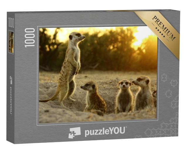 Puzzel 1000 stukjes „Stokstaartjes in hun natuurlijke omgeving“