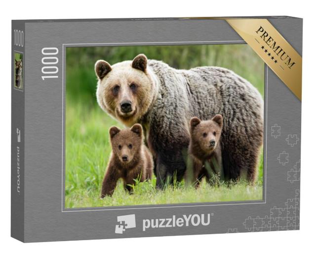 Puzzel 1000 stukjes „Een vrouwelijke bruine beer met twee welpen“