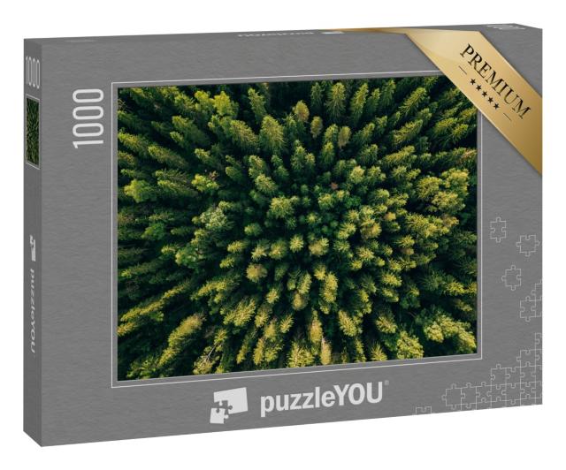 Puzzle 1000 Teile „Vogelperspektive auf einen Nadelwald“