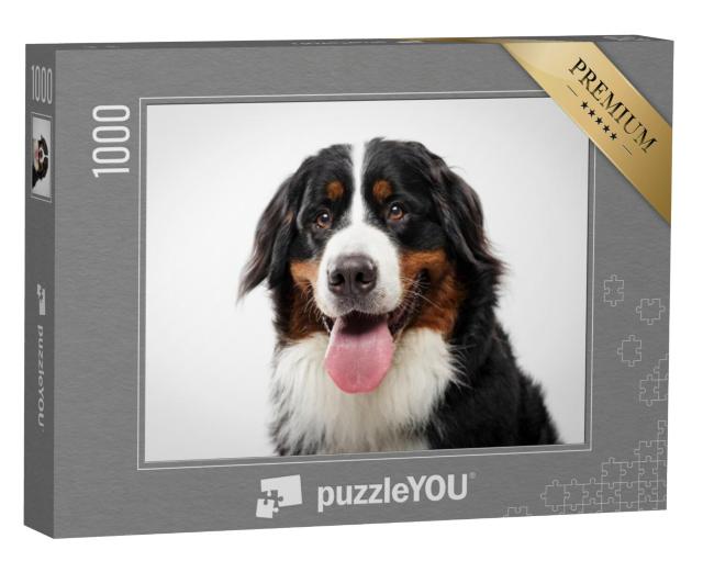 Puzzel 1000 stukjes „Portret van een zwarte Berner Sennenhond“