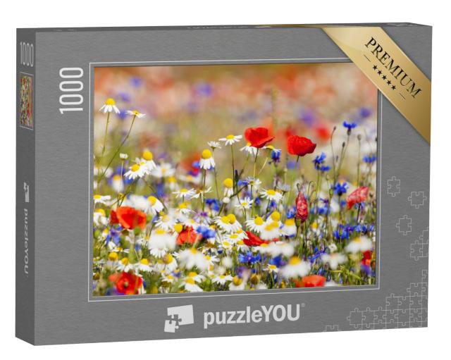 Puzzel 1000 stukjes „Bloeiende wilde bloemen in de weide in de lente“