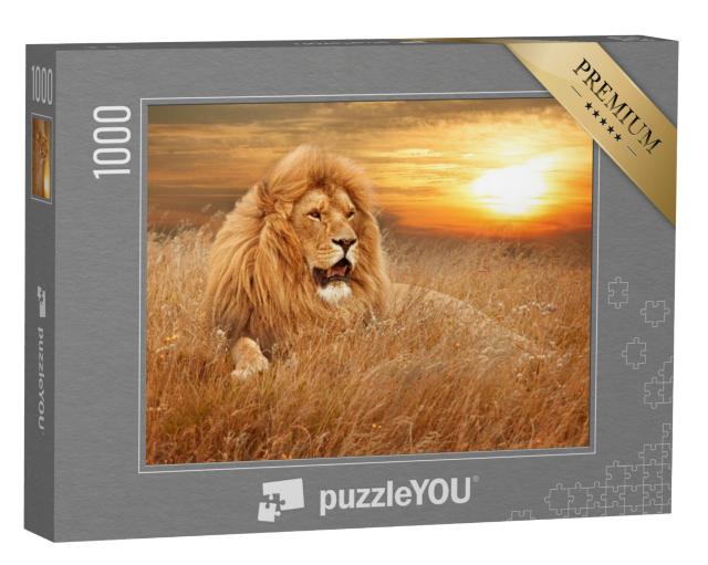 Puzzel 1000 stukjes „Foto van leeuwen in het gras“