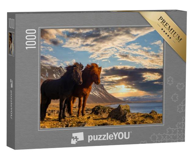 Puzzel 1000 stukjes „Twee IJslandse paarden aan de kust bij zonsondergang“