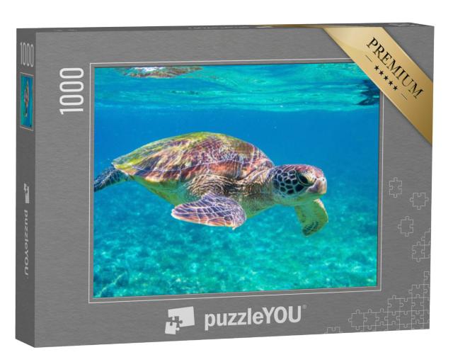 Puzzel 1000 stukjes „Zeeschildpad“