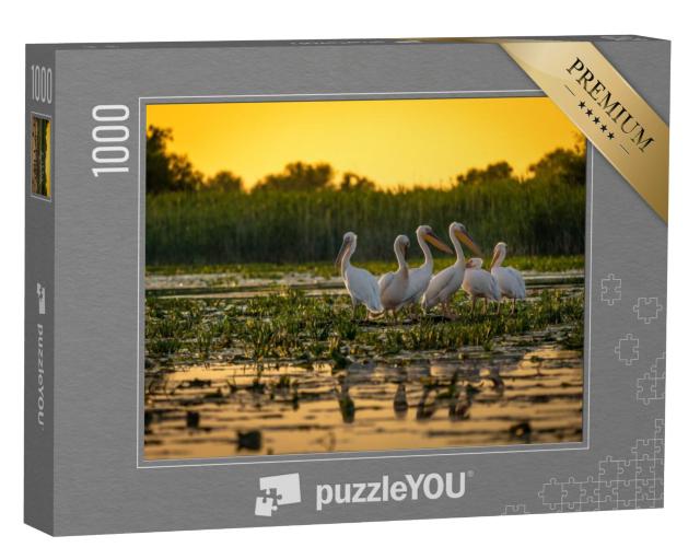 Puzzel 1000 stukjes „Pelikanen bij zonsondergang, Donau, Roemenië“