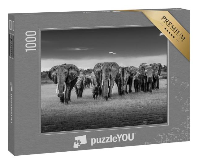 Puzzle 1000 Teile „Elefantenherde in Tansania, schwarz-weiß“