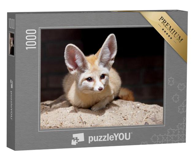 Puzzel 1000 stukjes „Fennec of woestijnvos“