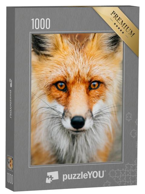 Puzzel 1000 stukjes „Close-up: aandachtige kleine wilde vos“