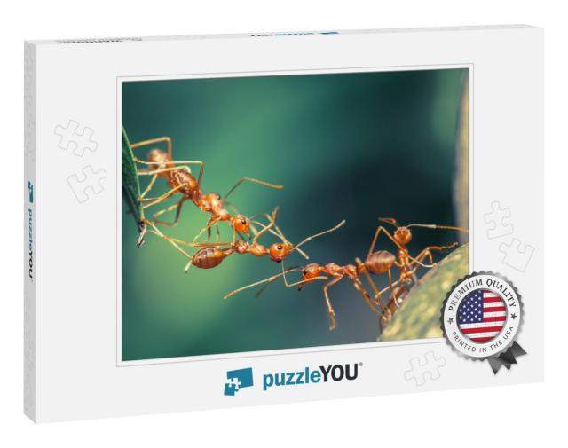 Ant Bridge Unity... Jigsaw Puzzle