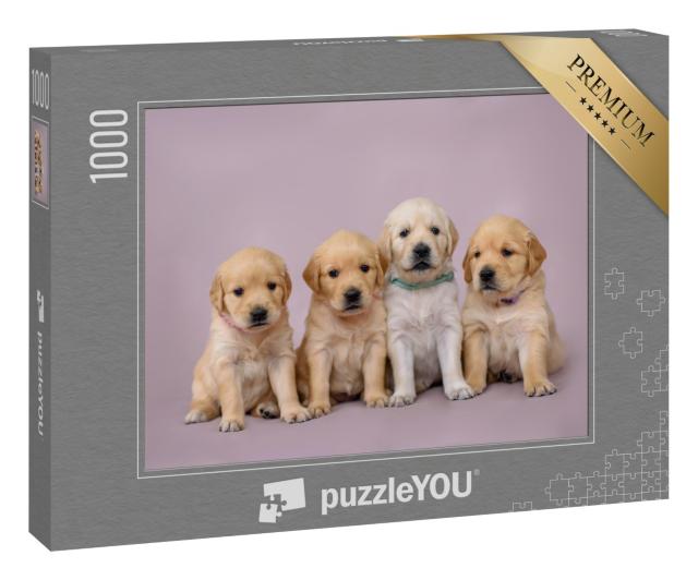 Puzzle 1000 Teile „Vier kleine Welpen: Golden Retriever sitzend“