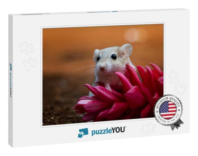 Cute Gerbil Mouse Closeup Face, Garbil Mouse on Red Flowe... Jigsaw Puzzle