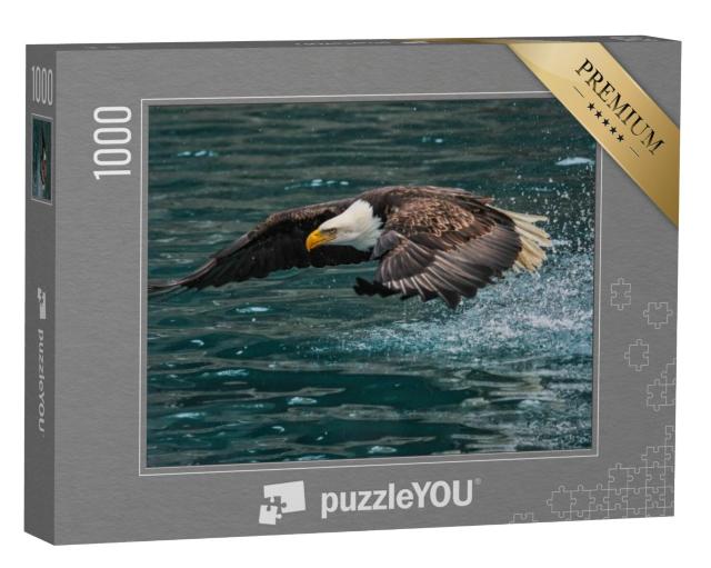 Puzzel 1000 stukjes „Amerikaanse zeearend hapt naar een vis“