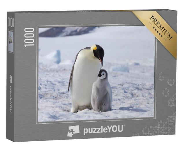 Puzzel 1000 stukjes „Een keizerspinguïn met zijn kuiken, Antarctica“