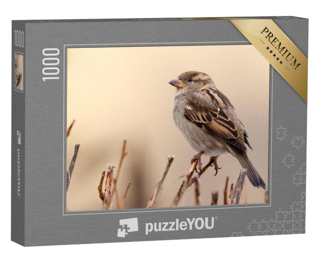 Puzzel 1000 stukjes „Mus op een tak“