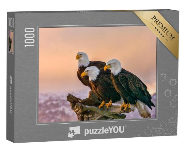 Puzzel 1000 stukjes „Drie Amerikaanse zeearenden, Kenai bergen, Alaska“