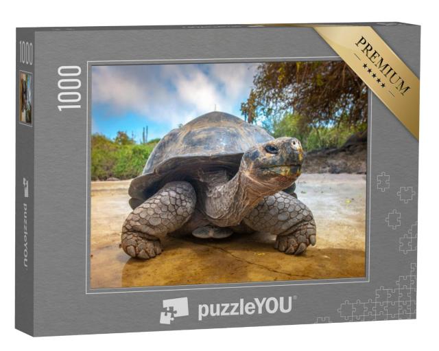 Puzzel 1000 stukjes „Galapagos schildpad, Ecuador“