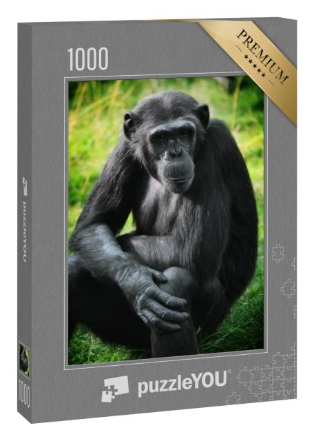 Puzzle 1000 Teile „Tierporträt: Schimpansen“