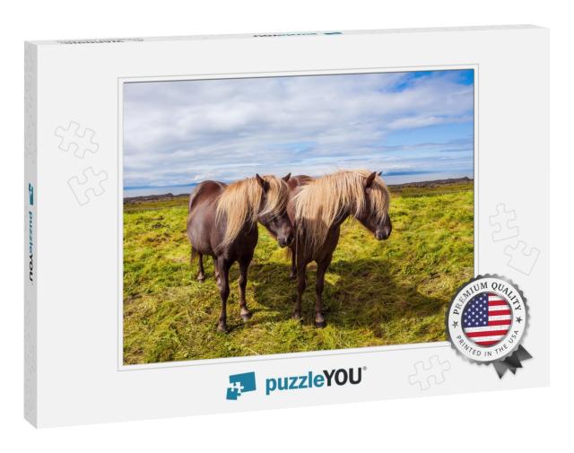 Two Beautiful & Kind Horses of a Unique Icelandic Breed... Jigsaw Puzzle