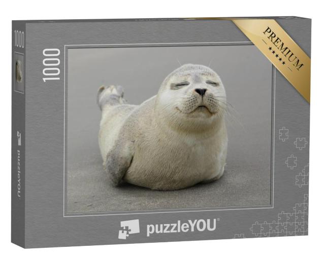 Puzzel 1000 stukjes „Schattige grijze zeehond pup“