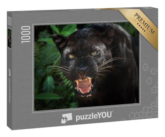 Puzzle „Schwarzer Panther“