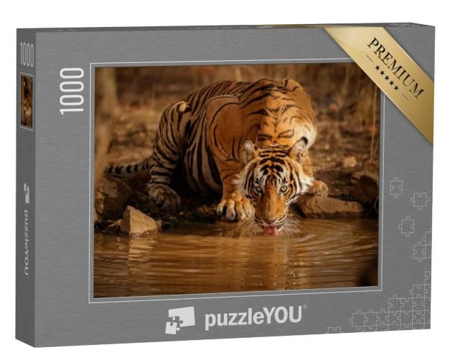 Puzzel 1000 stukjes „Tijger in het wild: Mannelijke tijger drinkt water in Rajasthan, India“