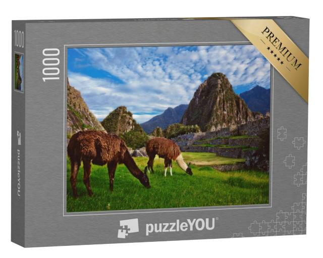 Puzzel 1000 stukjes „Twee lama's in de Incacitadel van Machu Picchu“