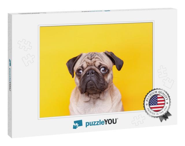 Portrait of Adorable, Happy Dog of the Pug Breed. Cute Sm... Jigsaw Puzzle