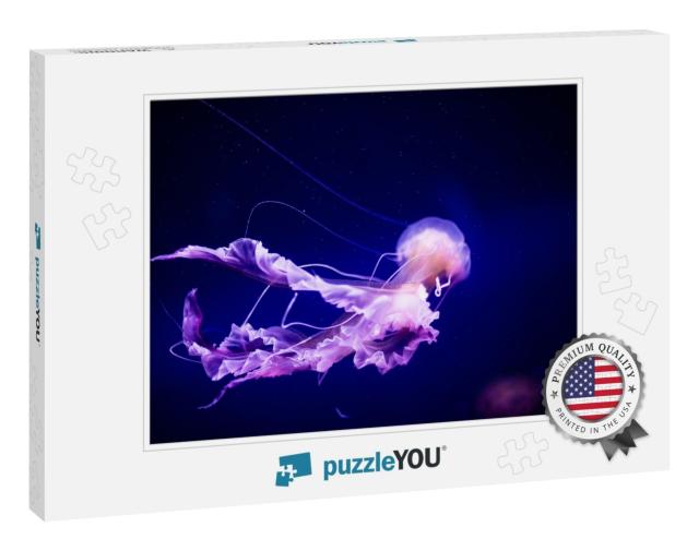 Beautiful Jellyfish, MedUSA in the Neon Light with the Fis... Jigsaw Puzzle
