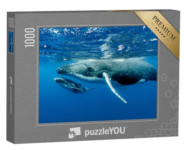 Puzzel 1000 stukjes „Twee bultruggen onder het oppervlak in de Stille Oceaan“