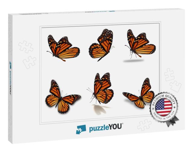 Beautiful Six Monarch Butterflies Set, Isolated on White... Jigsaw Puzzle
