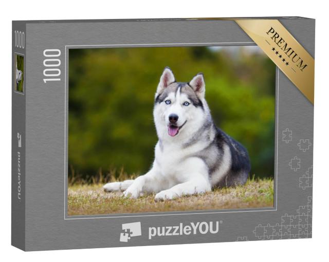 Puzzel 1000 stukjes „Portret van een Siberische husky“