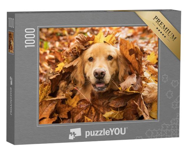 Puzzel 1000 stukjes „Golden Retriever, verborgen in de herfstbladeren“