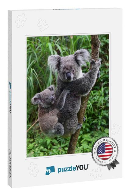 Koala Carries Baby on His Back in the Zoo of Taipei Taiwa... Jigsaw Puzzle