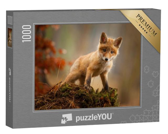 Puzzel 1000 stukjes „Een jonge vos“