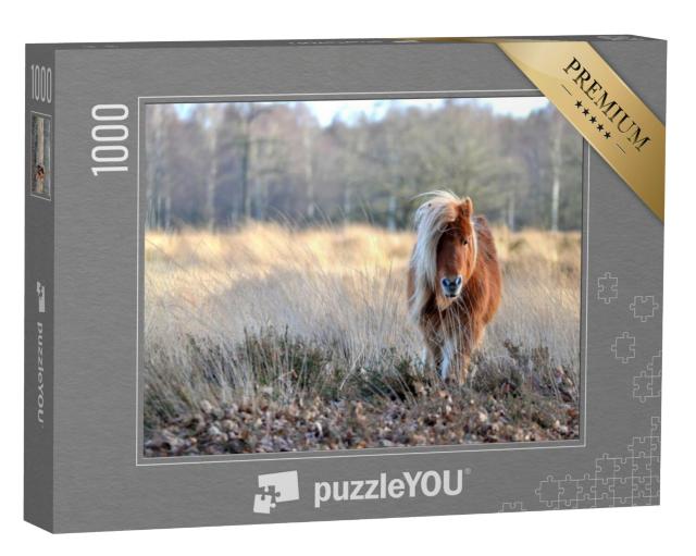 Puzzel 1000 stukjes „Mooie pony“