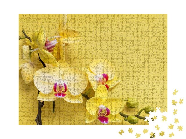 Puzzle 1000 Teile „Zweig einer blühenden gelben Orchidee“