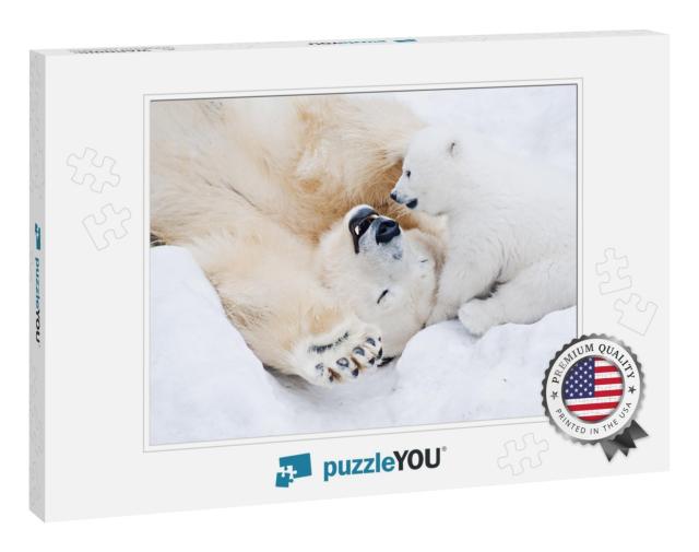 Female Polar Bear Playing with Her Little Cub on the Snow... Jigsaw Puzzle